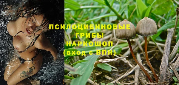 ECSTASY Няндома
