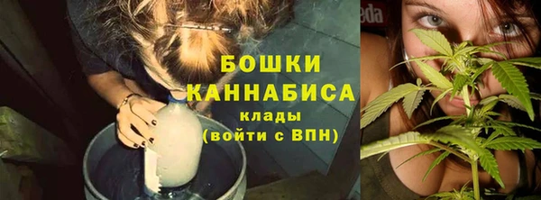наркотики Бородино