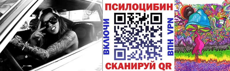 что такое   Грязи  Псилоцибиновые грибы GOLDEN TEACHER 